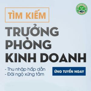 Tuyển dụng Trưởng phòng Kinh doanh